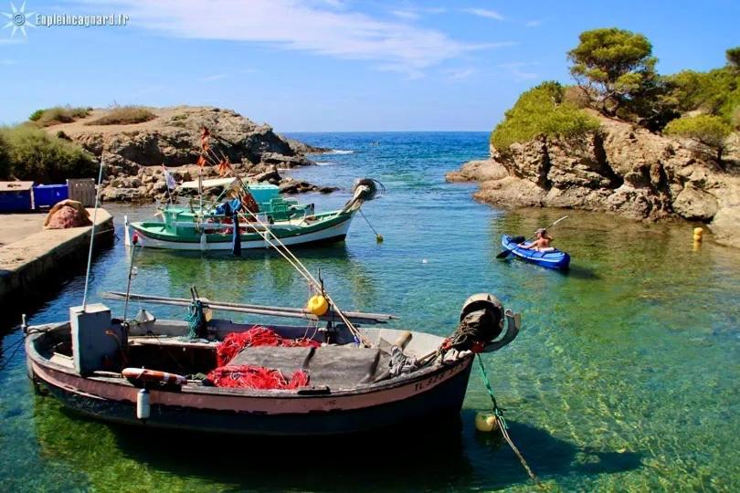 La Fincazur! Proche Plages Six-Fours-les-Plages Dış mekan fotoğraf